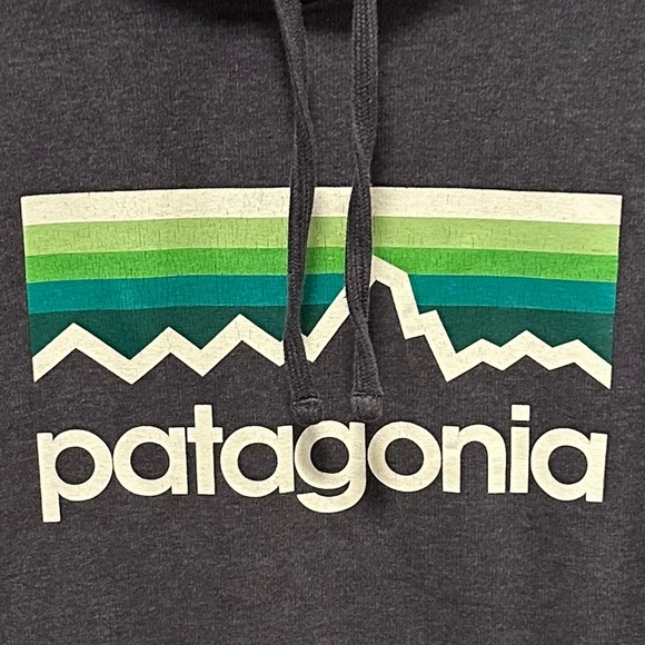 Patagonia Line Logo Midweight Organic Cotton Pullover Hoodie Men medium mountain - Picture 6 of 6
